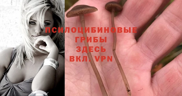 сатива Балабаново