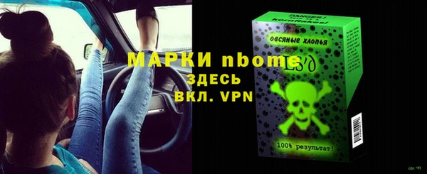 прущие грибы Инсар