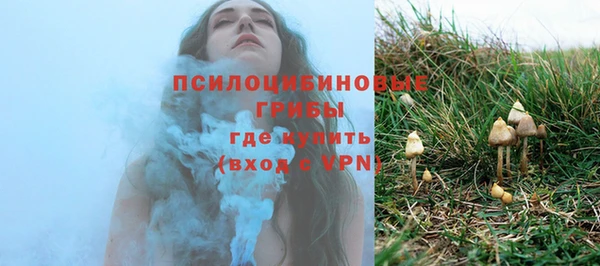 ГАЛЛЮЦИНОГЕННЫЕ ГРИБЫ Баксан