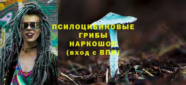 сатива Балабаново