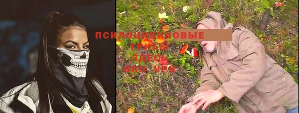сатива Балабаново