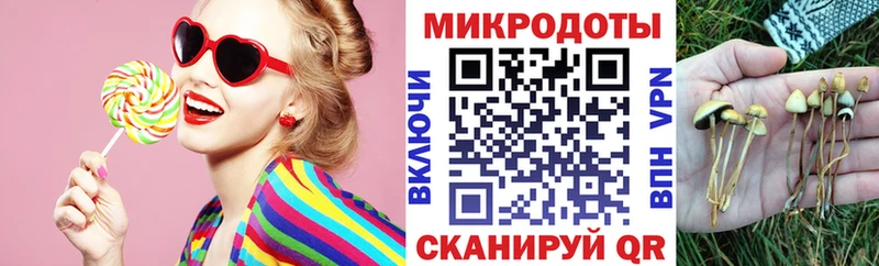 Псилоцибиновые грибы Cubensis  Унеча 