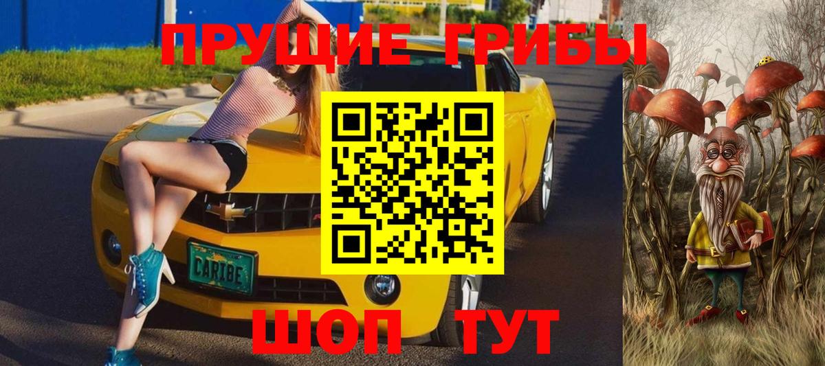 Псилоцибиновые грибы Psilocybine cubensis  где купить   Унеча  Вход с VPN 